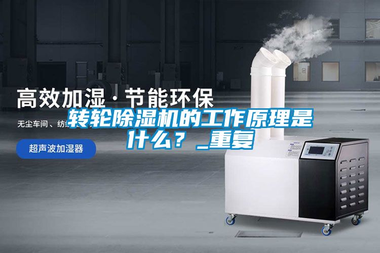 轉(zhuǎn)輪除濕機的工作原理是什么？_重復