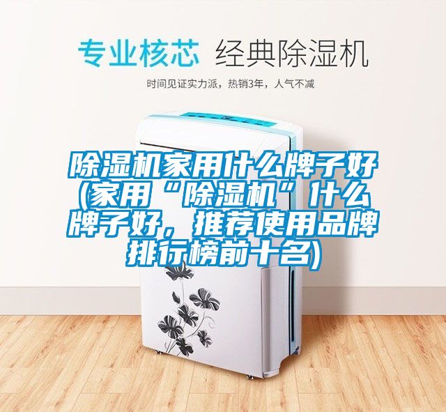除濕機(jī)家用什么牌子好(家用“除濕機(jī)”什么牌子好，推薦使用品牌排行榜前十名)
