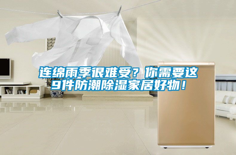 連綿雨季很難受？你需要這9件防潮除濕家居好物！