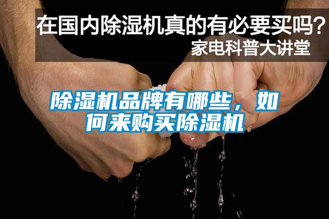除濕機(jī)品牌有哪些，如何來購買除濕機(jī)
