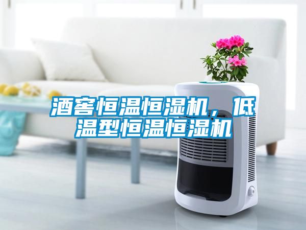 酒窖恒溫恒濕機(jī)，低溫型恒溫恒濕機(jī)