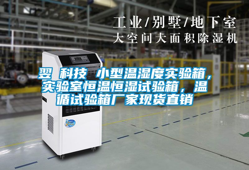 翌昇科技 小型溫濕度實(shí)驗(yàn)箱，實(shí)驗(yàn)室恒溫恒濕試驗(yàn)箱，溫循試驗(yàn)箱廠家現(xiàn)貨直銷(xiāo)