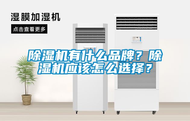 除濕機有什么品牌？除濕機應(yīng)該怎么選擇？