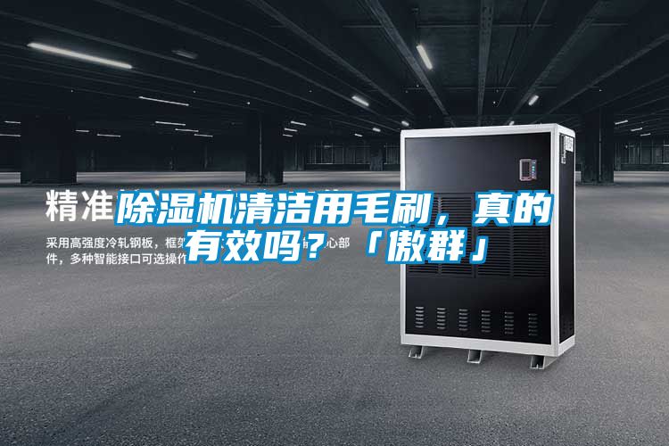 除濕機(jī)清潔用毛刷，真的有效嗎？「傲群」