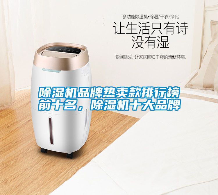 除濕機品牌熱賣款排行榜前十名，除濕機十大品牌