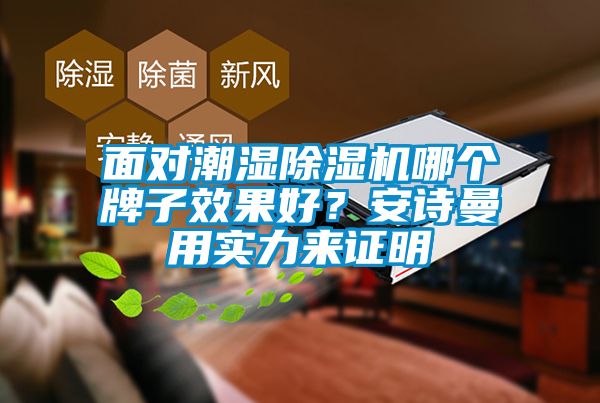 面對(duì)潮濕除濕機(jī)哪個(gè)牌子效果好？安詩(shī)曼用實(shí)力來(lái)證明