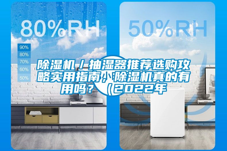 除濕機(jī)／抽濕器推薦選購攻略實(shí)用指南，除濕機(jī)真的有用嗎？（2022年