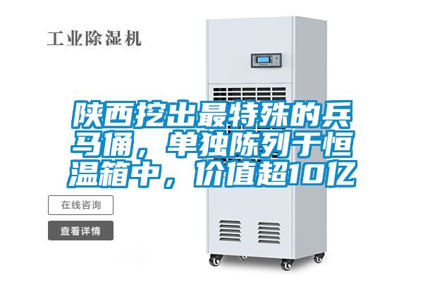 陜西挖出最特殊的兵馬俑，單獨陳列于恒溫箱中，價值超10億