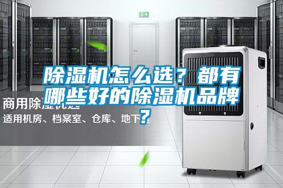 除濕機(jī)怎么選？都有哪些好的除濕機(jī)品牌？