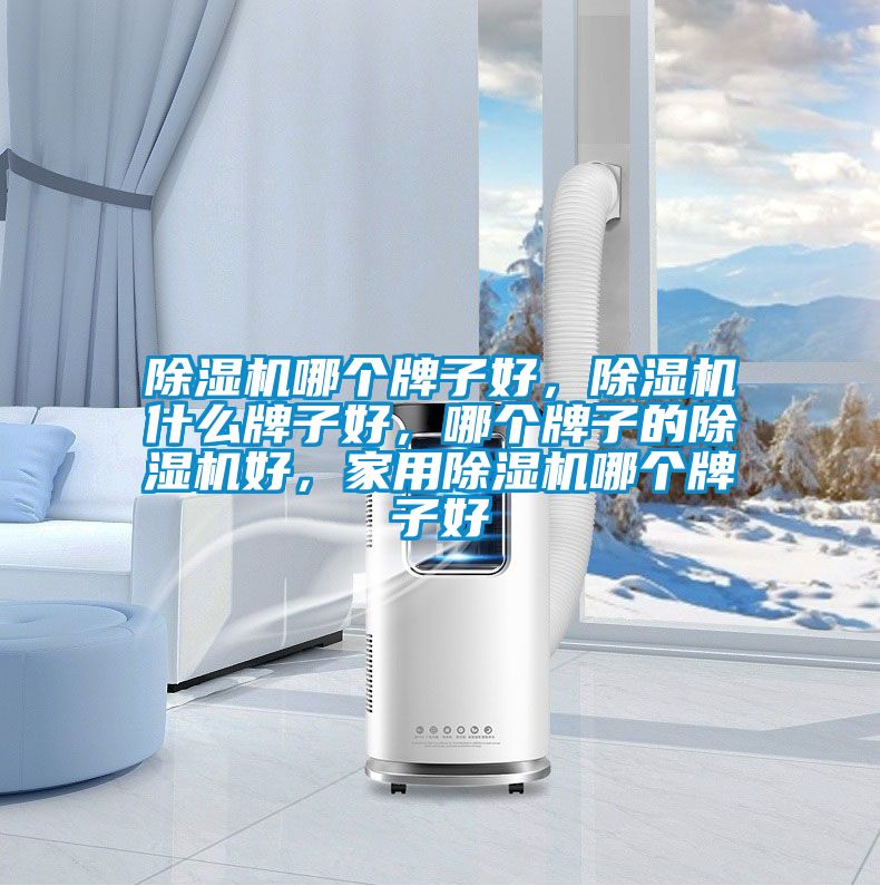 除濕機(jī)哪個(gè)牌子好，除濕機(jī)什么牌子好，哪個(gè)牌子的除濕機(jī)好，家用除濕機(jī)哪個(gè)牌子好