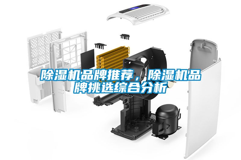 除濕機(jī)品牌推薦，除濕機(jī)品牌挑選綜合分析