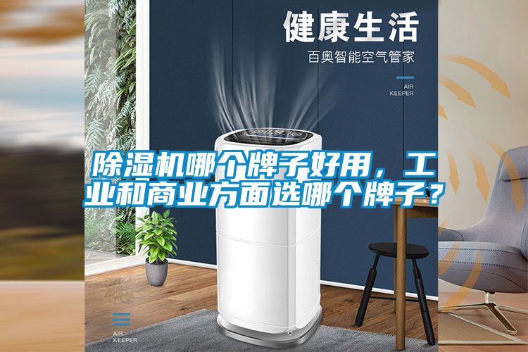 除濕機哪個牌子好用，工業(yè)和商業(yè)方面選哪個牌子？