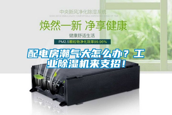 配電房潮氣大怎么辦？工業(yè)除濕機(jī)來支招！