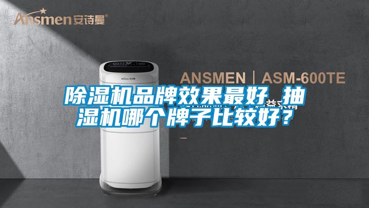 除濕機(jī)品牌效果最好 抽濕機(jī)哪個牌子比較好？