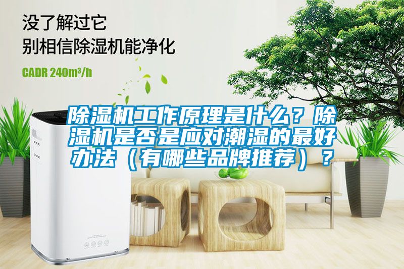 除濕機(jī)工作原理是什么？除濕機(jī)是否是應(yīng)對(duì)潮濕的最好辦法（有哪些品牌推薦）？