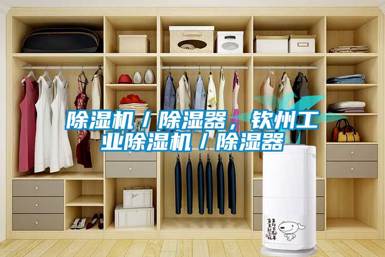 除濕機／除濕器，欽州工業(yè)除濕機／除濕器