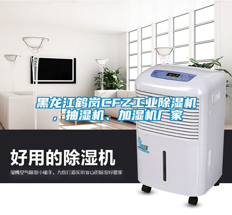 黑龍江鶴崗CFZ工業(yè)除濕機，抽濕機、加濕機廠家