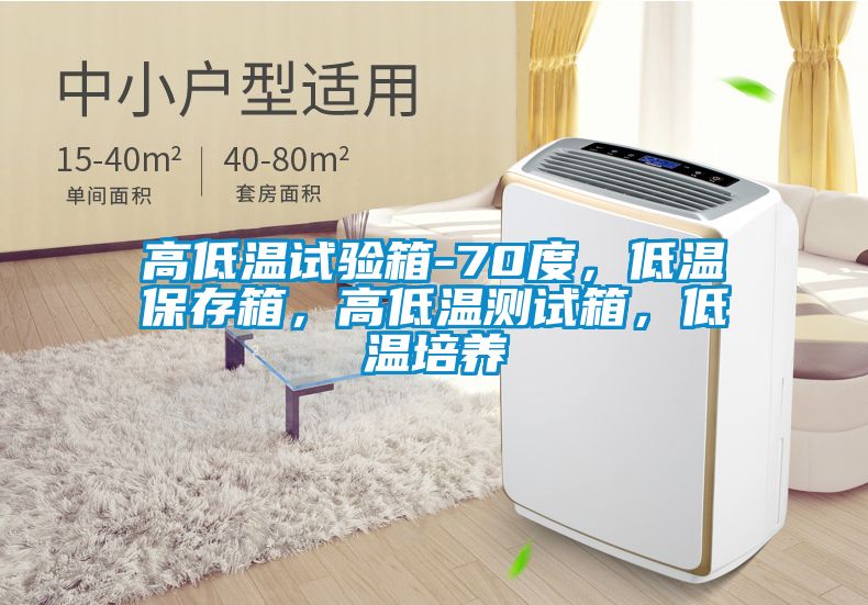 高低溫試驗(yàn)箱-70度，低溫保存箱，高低溫測(cè)試箱，低溫培養(yǎng)