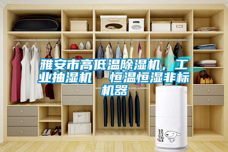雅安市高低溫除濕機(jī)，工業(yè)抽濕機(jī)  恒溫恒濕非標(biāo)機(jī)器