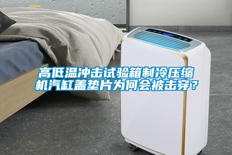 高低溫沖擊試驗箱制冷壓縮機汽缸蓋墊片為何會被擊穿？