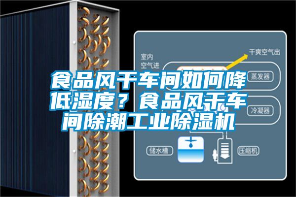食品風干車間如何降低濕度？食品風干車間除潮工業(yè)除濕機