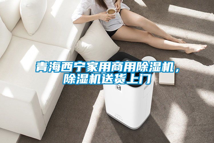 青海西寧家用商用除濕機(jī)，除濕機(jī)送貨上門(mén)