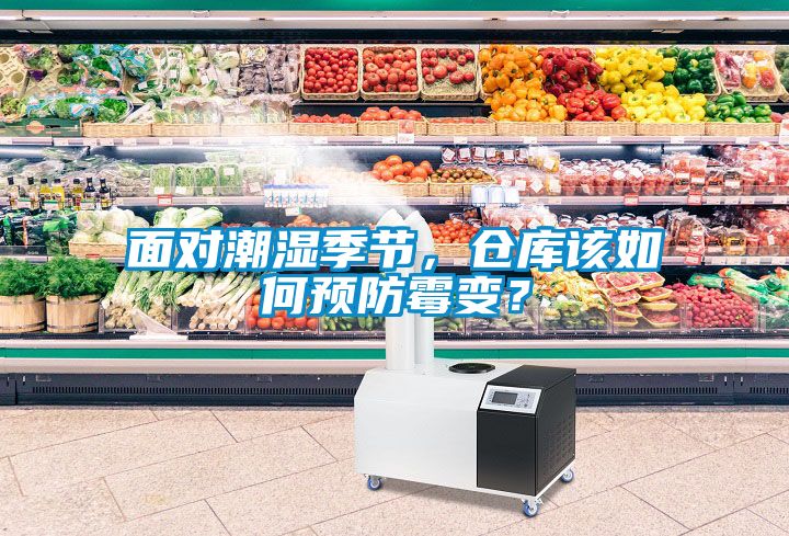 面對潮濕季節(jié)，倉庫該如何預防霉變？