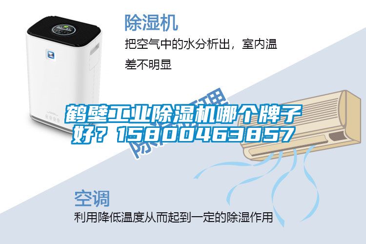 鶴壁工業(yè)除濕機(jī)哪個(gè)牌子好？15800463857