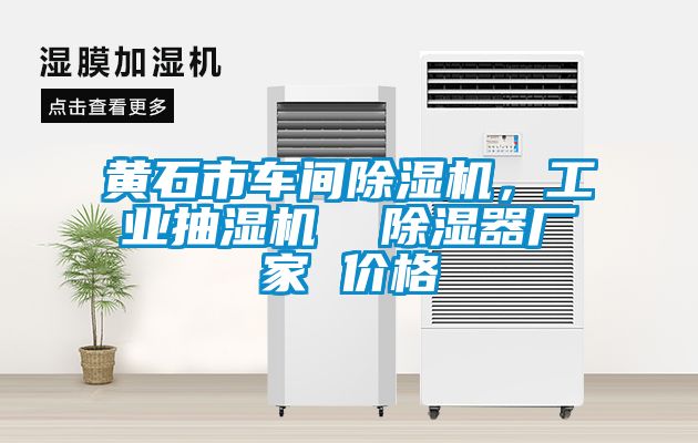 黃石市車間除濕機，工業(yè)抽濕機  除濕器廠家 價格