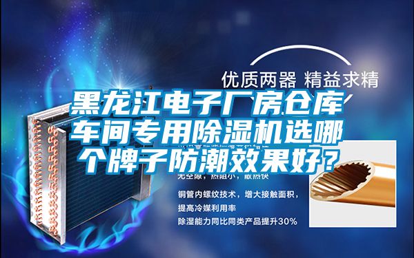 黑龍江電子廠房倉庫車間專用除濕機(jī)選哪個(gè)牌子防潮效果好？