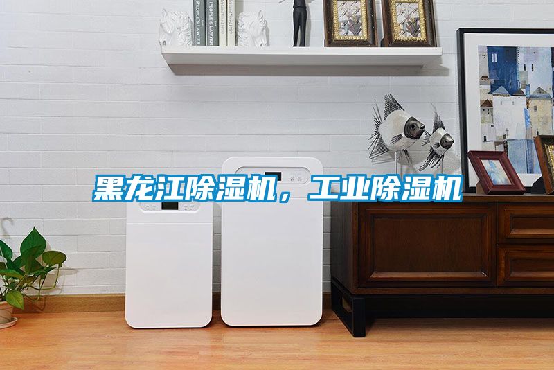 黑龍江除濕機(jī)，工業(yè)除濕機(jī)