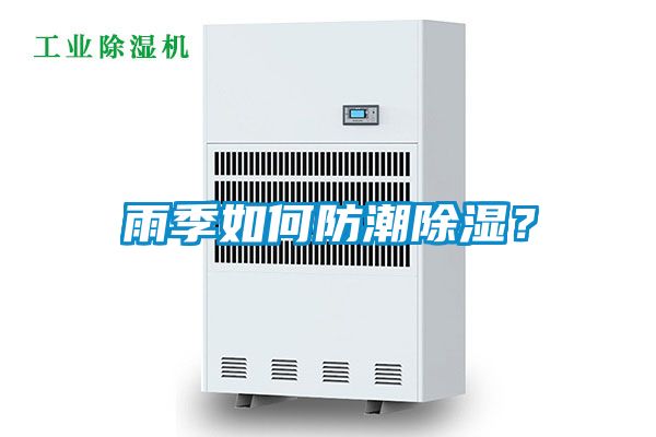 雨季如何防潮除濕？