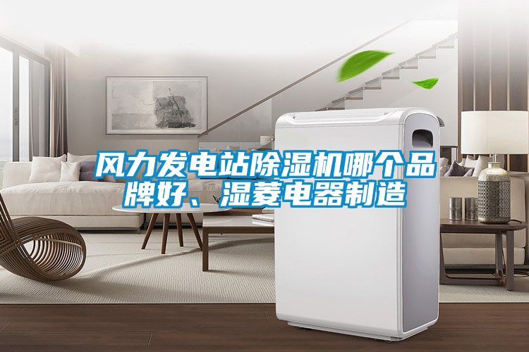 風(fēng)力發(fā)電站除濕機(jī)哪個(gè)品牌好、濕菱電器制造