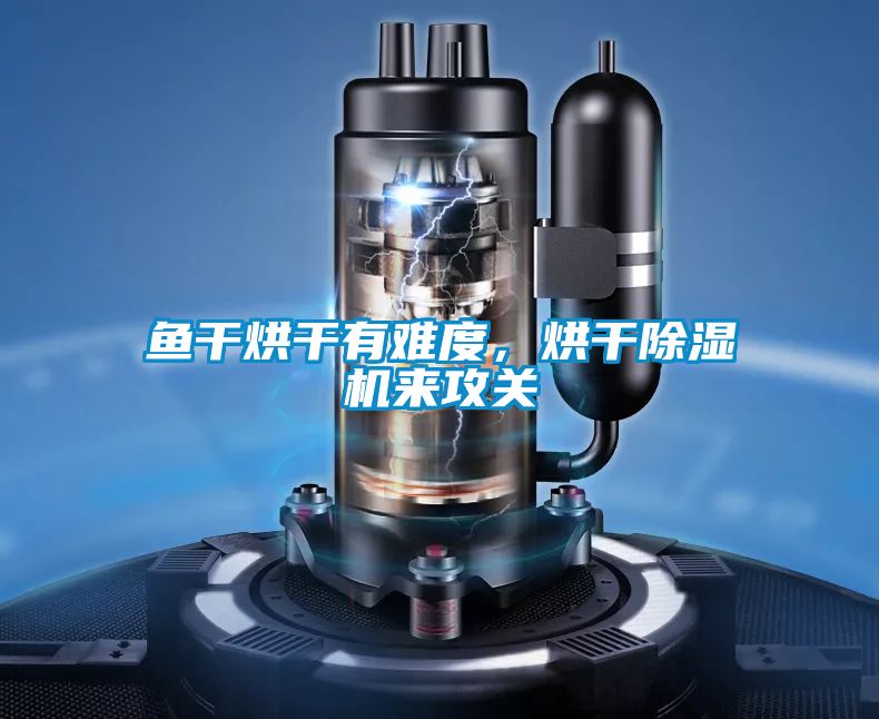 魚干烘干有難度，烘干除濕機來攻關