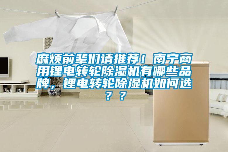 麻煩前輩們請(qǐng)推薦！南寧商用鋰電轉(zhuǎn)輪除濕機(jī)有哪些品牌，鋰電轉(zhuǎn)輪除濕機(jī)如何選？？