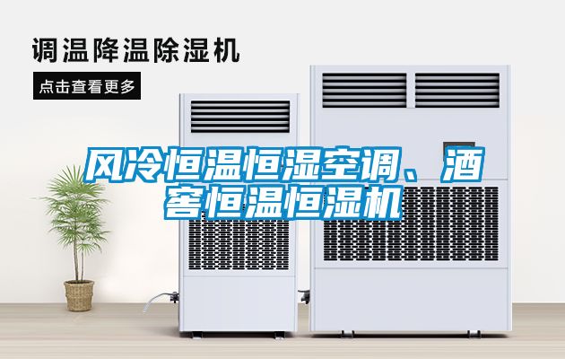 風(fēng)冷恒溫恒濕空調(diào)、酒窖恒溫恒濕機(jī)