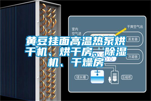黃豆掛面高溫?zé)岜煤娓蓹C(jī)、烘干房、除濕機(jī)、干燥房