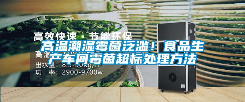 高溫潮濕霉菌泛濫！食品生產(chǎn)車間霉菌超標(biāo)處理方法
