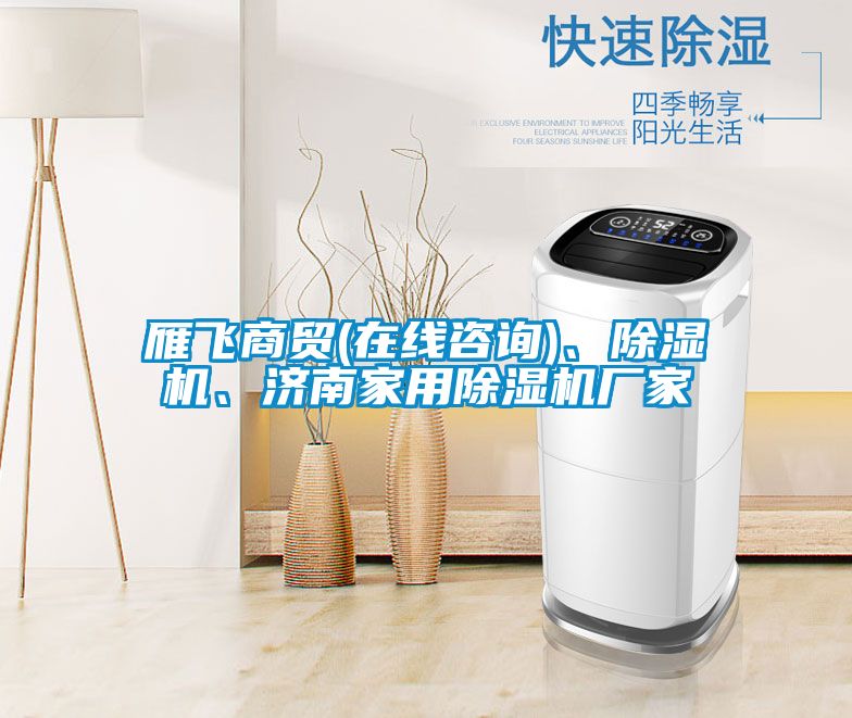雁飛商貿(mào)(在線咨詢)、除濕機、濟南家用除濕機廠家
