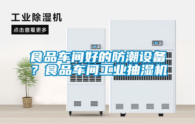 食品車間好的防潮設(shè)備？食品車間工業(yè)抽濕機(jī)