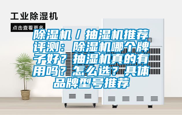 除濕機(jī)／抽濕機(jī)推薦評(píng)測(cè)：除濕機(jī)哪個(gè)牌子好？抽濕機(jī)真的有用嗎？怎么選？具體品牌型號(hào)推薦