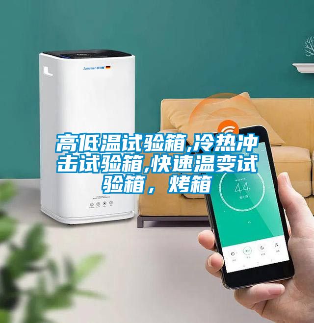 高低溫試驗(yàn)箱,冷熱沖擊試驗(yàn)箱,快速溫變?cè)囼?yàn)箱，烤箱