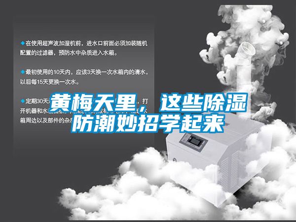 黃梅天里，這些除濕防潮妙招學(xué)起來