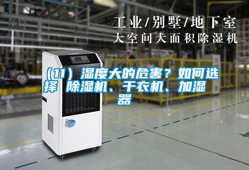 （11）濕度大的危害？如何選擇 除濕機(jī)、干衣機(jī)、加濕器