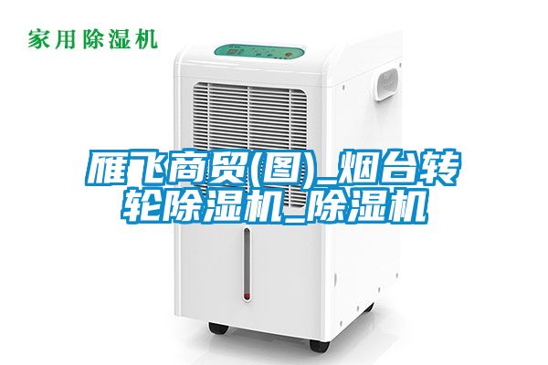 雁飛商貿(mào)(圖)_煙臺(tái)轉(zhuǎn)輪除濕機(jī)_除濕機(jī)