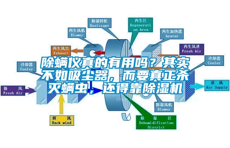 除螨儀真的有用嗎？其實不如吸塵器，而要真正殺滅螨蟲，還得靠除濕機