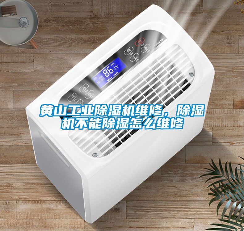 黃山工業(yè)除濕機(jī)維修，除濕機(jī)不能除濕怎么維修